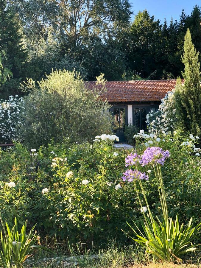 B&B Mas De Caustes Saint-Rémy-de-Provence Esterno foto