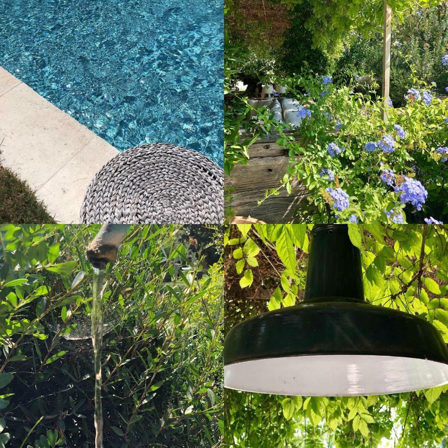 B&B Mas De Caustes Saint-Rémy-de-Provence Esterno foto