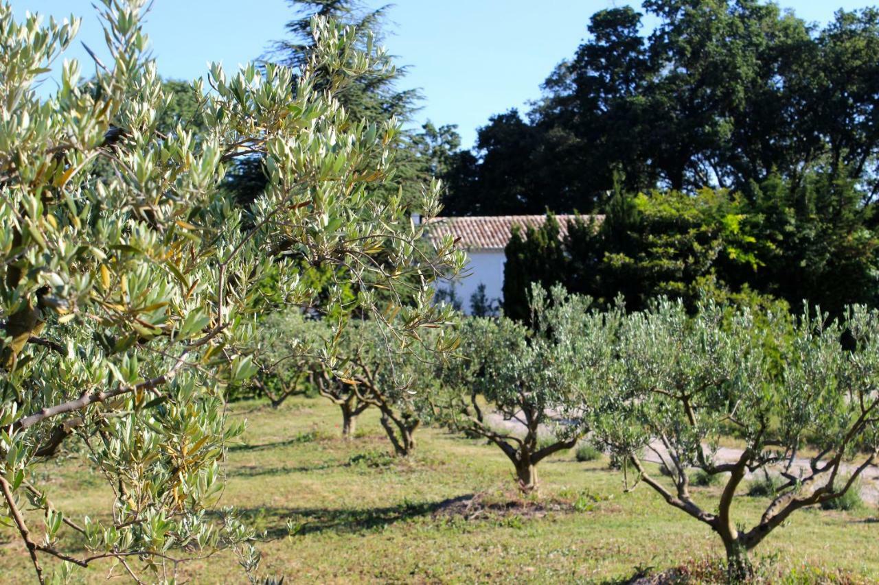 B&B Mas De Caustes Saint-Rémy-de-Provence Esterno foto