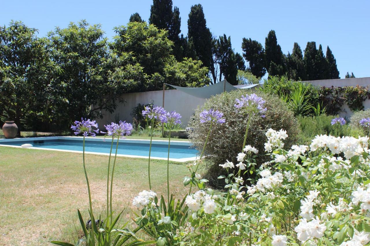 B&B Mas De Caustes Saint-Rémy-de-Provence Esterno foto