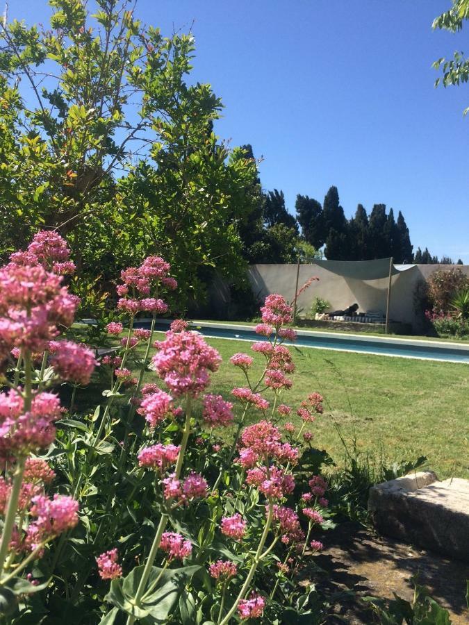 B&B Mas De Caustes Saint-Rémy-de-Provence Esterno foto