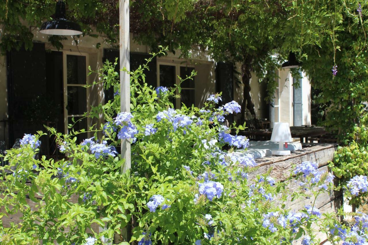 B&B Mas De Caustes Saint-Rémy-de-Provence Esterno foto