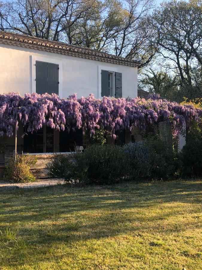 B&B Mas De Caustes Saint-Rémy-de-Provence Esterno foto